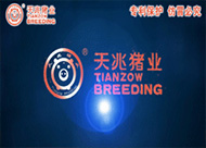 天兆豬業(yè)3d動(dòng)畫(huà)